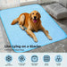 Pet Summer Cooling Ice Silk Sleeping Mat
