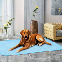 Pet Summer Cooling Ice Silk Sleeping Mat