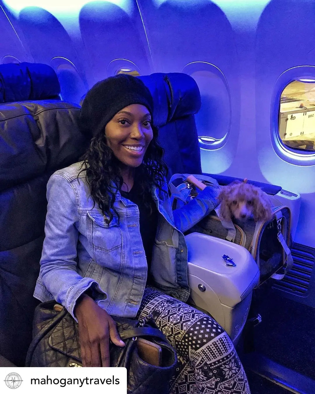 Mr. Peanut's Platinum Series Expandable Airline Pet Carrier Mr. Peanut's Pet Carriers