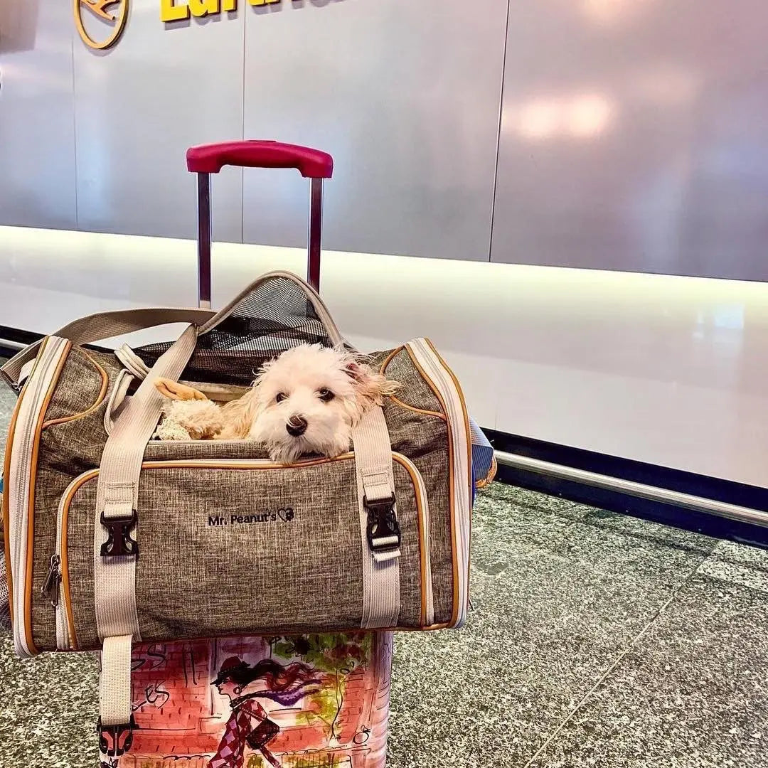 Mr. Peanut's Platinum Series Expandable Airline Pet Carrier Mr. Peanut's Pet Carriers