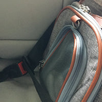 Mr. Peanut's Gold Series XL Double Expandable Pet Carrier Mr. Peanut's Pet Carriers