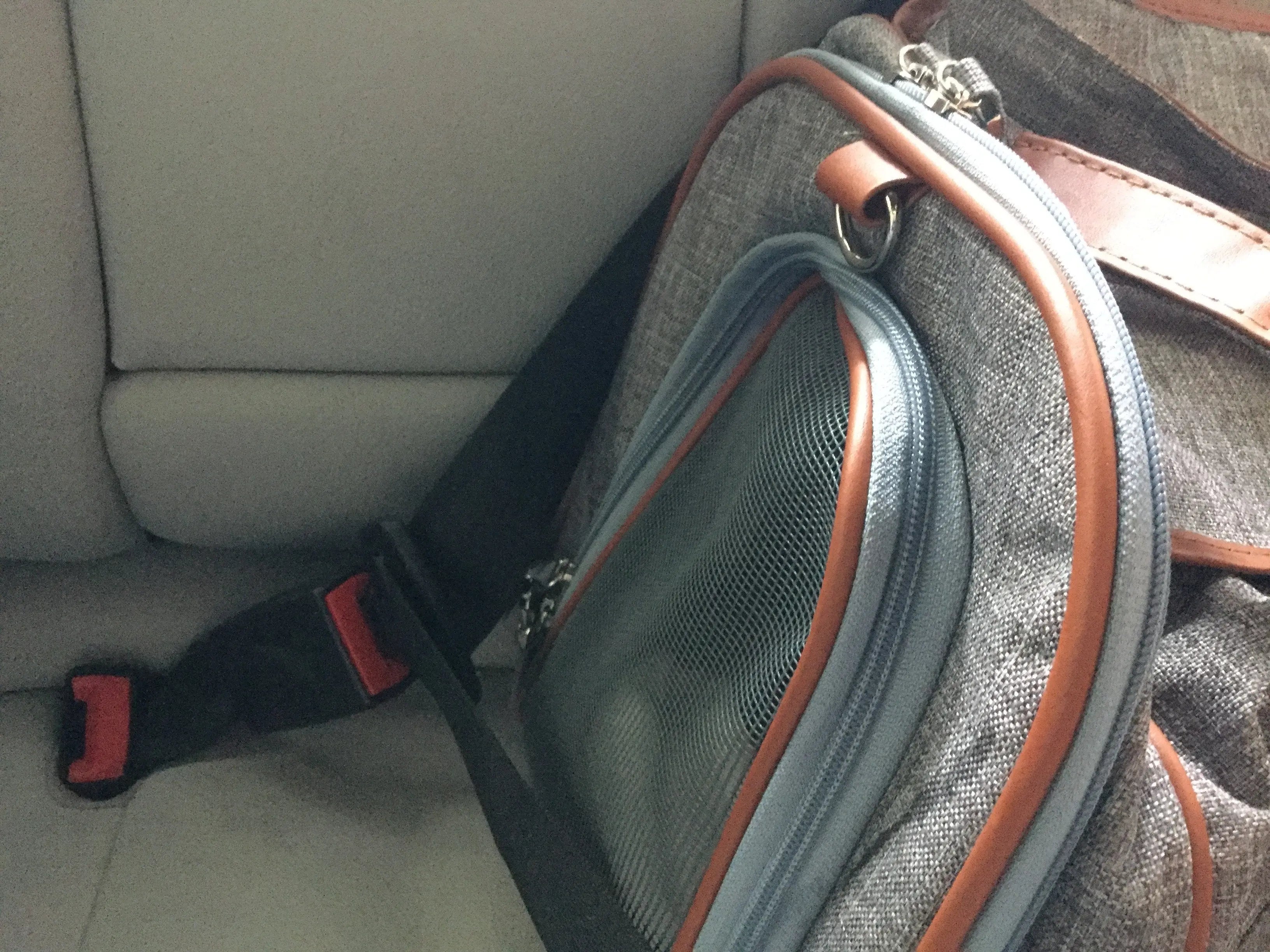 Mr. Peanut's Gold Series XL Double Expandable Pet Carrier Mr. Peanut's Pet Carriers